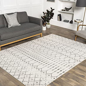 lot 26861 image: Nuloom area rug  (Stock photo is different from actual product)