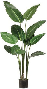 lot 31571 image: One 5 Foot Artificial Silk Bird of Paradise Palm Tree Potted Plant Amazons Choice in Artificial Trees by DEFLECTAIR   (Stock photo is different from actual product)   (Size Unknown)
