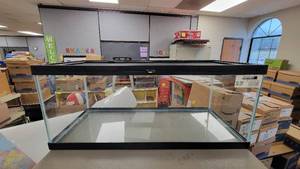 lot 9784 image: Rainforest 20L Glass Tank