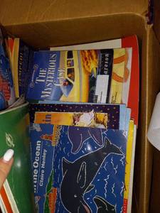 lot 9963 image: 3 Boxes of Childrens Library Books