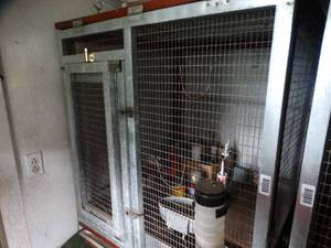 lot 1407 image: Quality rabbit Hutch with Contents
