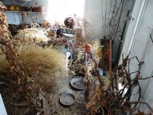 lot 1414 image: Contents of Room EXCEPT Window AC  Planters Large and Small 