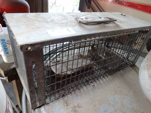 lot 1491 image: Small Animal Trap
