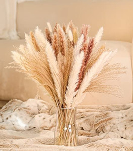 lot 7153 image: Dried Pampas Grass Decor 17 in