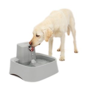 lot 9042 image: PetSafe Drinkwell 2 Gallon Fountain - Automatic Water Bowl for Large Dogs