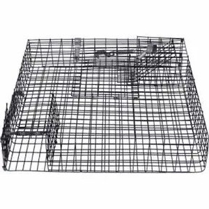 lot 6090 image: CatchMor 2-Door Chipmunkinator Chipmunk Trap