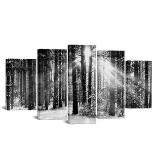 lot 900 image: Nachic Wall 5 Piece Picture Wall Art Large Black and White Forest Sunset Canvas Art Nature Winter Tree Landscape Painting for Living Room Office Decoration with Inner Wood Frame Ready to Hang. Retails $90