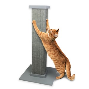 lot 1346 image: Pioneer Pet Ultimate Scratching Post Grey For Cats, 32 H, 15 LBS