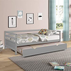 lot 2981 image: Day Bed With Trundle,Gray (stock photo approximate)