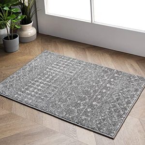 lot 2916 image: Bodrium Gray Rug 2 x 3