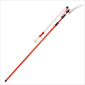 lot 77044 image: Corona Dual Link Tree Saw and Pruner - 10 ft