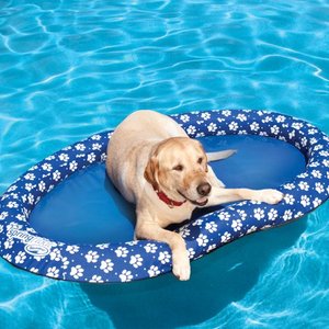lot 77077 image: SwimWays Spring Float Paddle Paws Dog Pool Float - Large (65 lbs and Up)