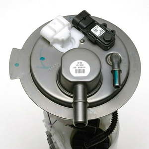 lot 165 image: Delphi Lifetime Warranty Fuel Pump