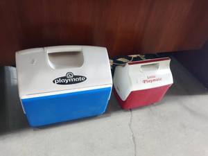 lot 1101 image: Igloo Playmates coolers