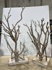 lot 1253 image: Rustic Birch decor