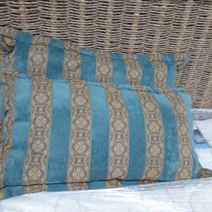 lot 3042 image: 2 Pillows with pillow shams. Reversible