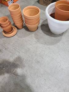 lot 4046 image: Clay and plastic flowerpots