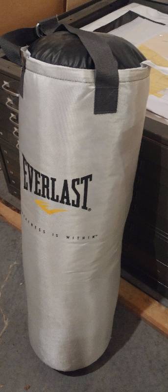 70 Pound Everlast Nevatear Platinum Punching Bag | Timber Trace Estate Auction by Fleetsale ...