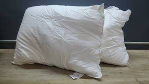 lot 33378 image: Lot of 2 Queen Pillows, 2028