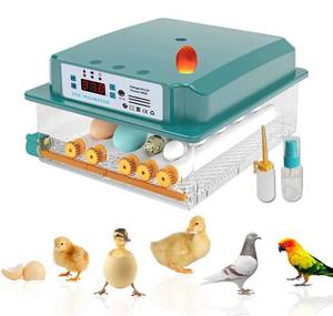 lot 38503 image: Incubator Egg Automatic 16 Egg Incubator Brooding Machine