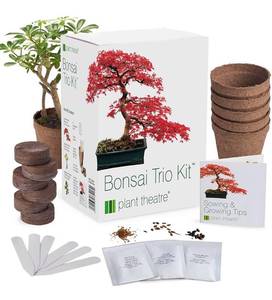 lot 38555 image: Plant Theatre Bonsai Tree Kit - Grow 3 Distinctive Mini Bonsai Tree Live, Indoor Plant Seed Starter Pack