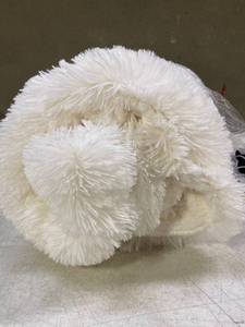lot 36478 image: Large Throw Blanket Cream Colored Very Soft and Fuzzy