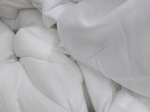 lot 44266 image: Coonp Mattress Topper,King