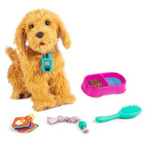 lot 44277 image: SkyRocket Moji the Lovable Labradoodle
