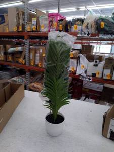 lot 44333 image: Home Flourish 60cm Pam Tree with white pot