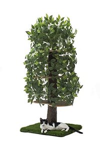 lot 44509 image: On2 Pets Cat Tree with Leaves