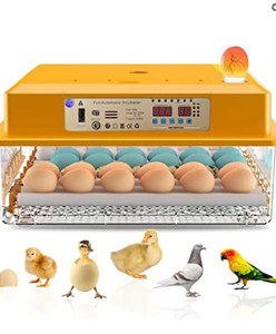 lot 44544 image: Full Automatic Incubator for Hatching Eggs Automatic Egg Turning Humidity Control Chicken Quail Duck 36 Egg