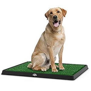 lot 2451 image: Artificial Grass Puppy Pad for Dogs and Small Pets Portable Training Pad with Tray Dog Housebreaking Supplies by PETMAKER (20 x 25) (B00ICVHY5I)