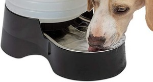 lot 2353 image: Small Gravity Waterer for Pets