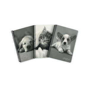 lot 29771 image: Mint Green 20212022 Planner (Stock photo different than actual item)