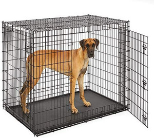 lot 23206 image: MidWest Homes for Pets XXL Giant Dog Crate  54-Inch Long Ginormous Dog Crate Ideal for a Great Dane, Mastiff, St. Bernard & Other XXL Dog Breeds