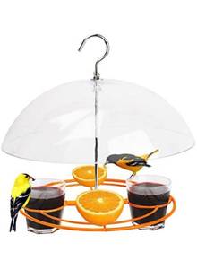 lot 32616 image: Solution4Patio Baltimore Oriole Feeder, Orange Halves Fruit & Grape Jelly, and Mealworm for Bluebirds, Weather Guard Squirrel Baffle