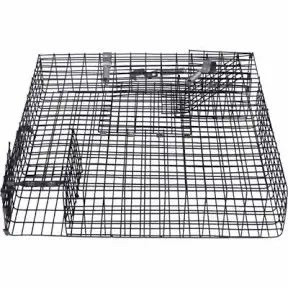 lot 6090 image: CatchMor 2-Door Chipmunkinator Chipmunk Trap