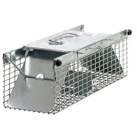 lot 5808 image: Havahart Small Squirrel 2-Door Animal Trap