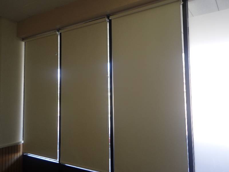 lot 1611 image: (10) Pull Down Vinyl Window Blinds