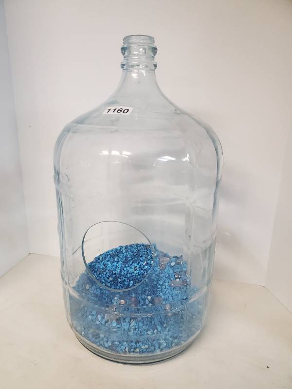 lot 1160 image: 5 Gallon Glass Terrarium