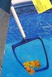 lot 29910 image: Mainstays Deluxe Pool Leaf Skimmer With 42-inch Pole