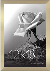 lot 30280 image: Americanflat 12x18 Poster Frame in Gold - Composite Wood with Polished Plexiglass