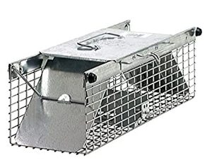 lot 31148 image: Havahart Small Squirrel 2-Door Animal Trap