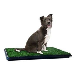 lot 31162 image: Artificial Grass Puppy Pad, Portable Training Pad with Tray by PETMAKER (20 x 25) (B00ICVHY5I)
