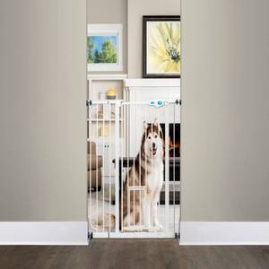 lot 2586 image: Carlson 36 H Extra Tall Pet Gate with Small Pet Door