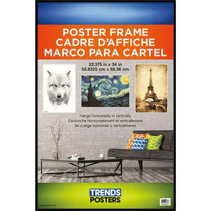lot 20993 image: Trends Poster Frame (22.375x34)