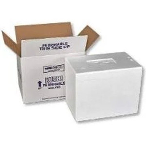 lot 3509 image: Polar Tech Thermo Chill 269T69C Large Insulated Foam Container, 15 Length x 13-12 Width x 10 Deptha