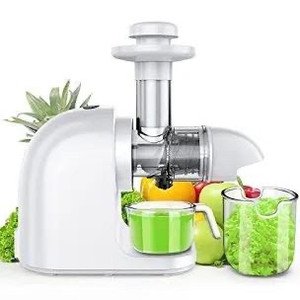 lot 4810 image: Slow Masticating Juicer Machine, Cold Press Juicer with Ceramic Auger, Easy to Clean, Juice Extractor with Reverse Function, Quiet Motor for 100% Original Vegetable and Fruit Juice, Ice Cream