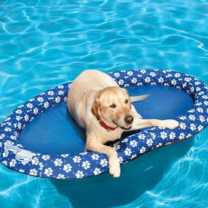 lot 75450 image: SwimWays Spring Float Paddle Paws Dog Pool Float - Large (65 lbs and Up)