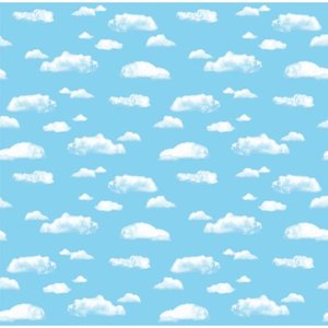 lot 30528 image: PaconA FadelessA Design Roll Clouds Pattern (48 x 50)